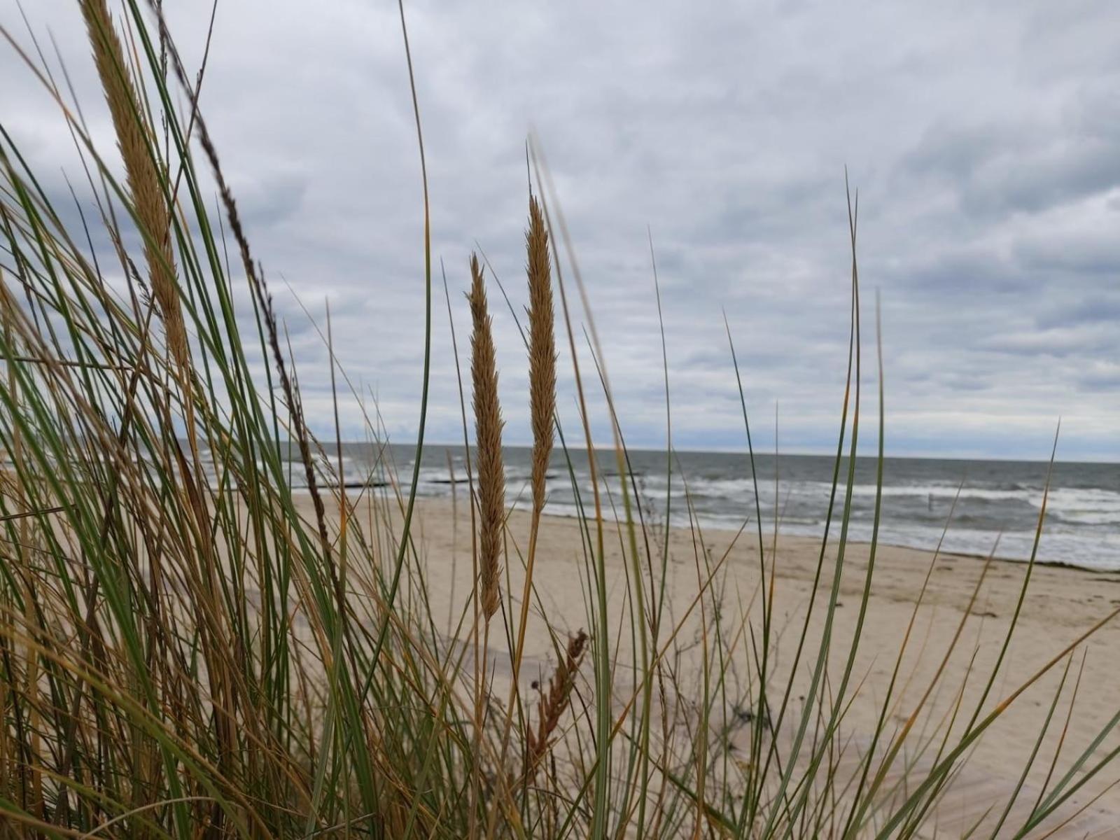 Ostsee Ferienhaus Usedom Hundefreundlich Familie Stopp Haus 22 Lutow Eksteriør bilde